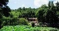 長沙出發(fā)到花明樓、韶山、張家界國家森林公園、天門仙山國家森林公園四日游